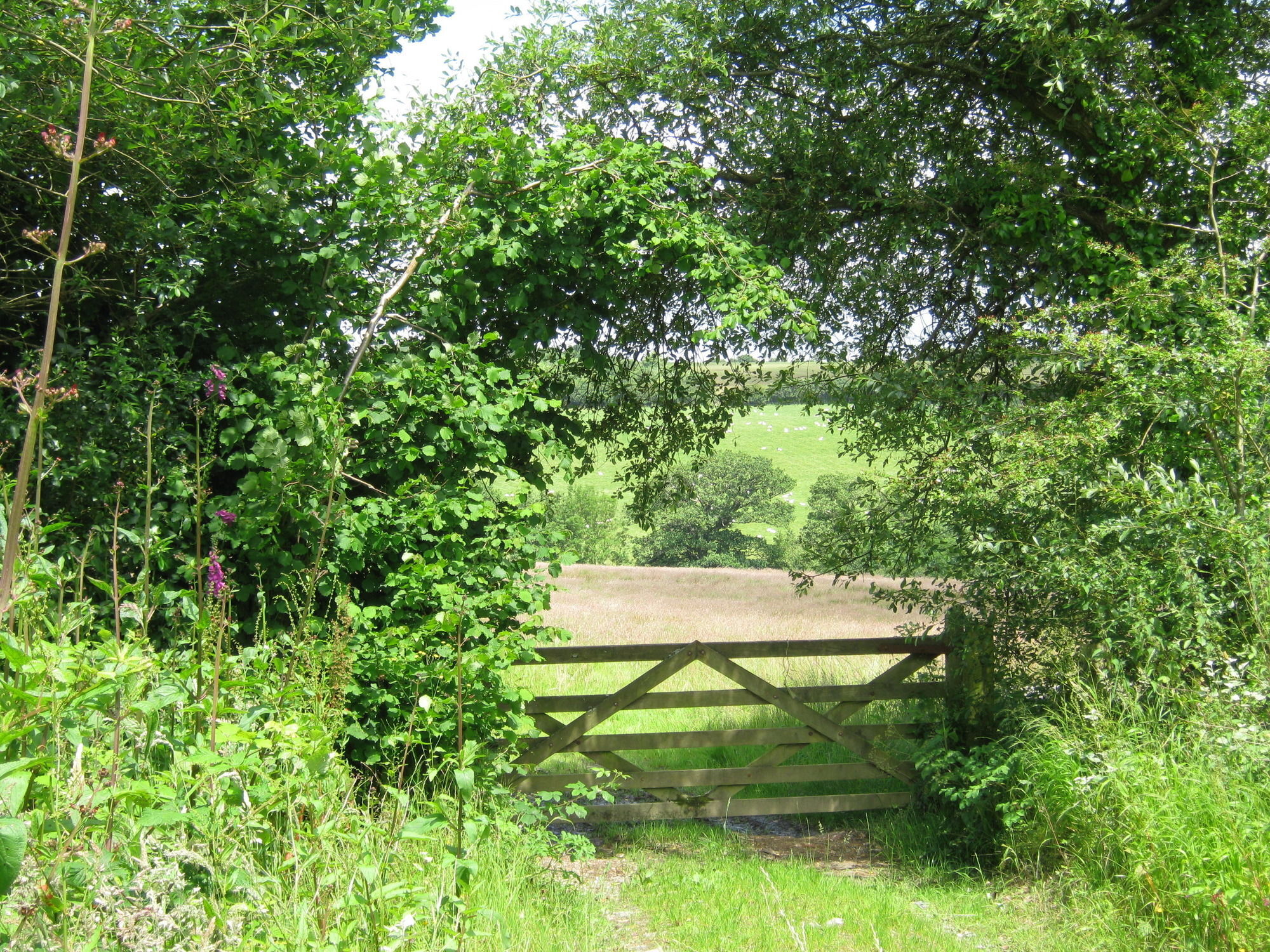Hollamoor Farm Bed and breakfast Barnstaple