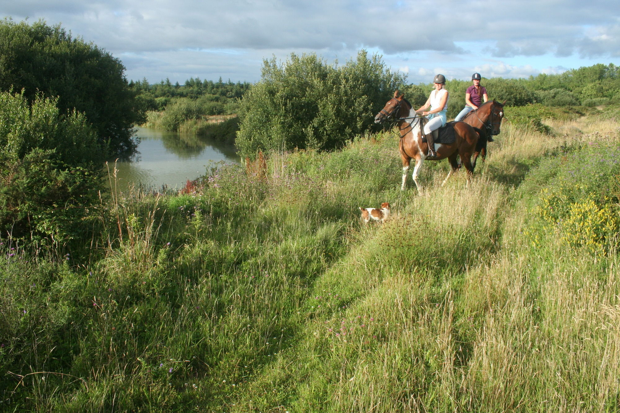 Hollamoor Farm Отель типа 